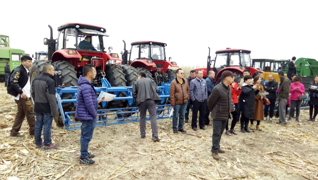 壹号娱乐 - NG大舞台,有梦你就来